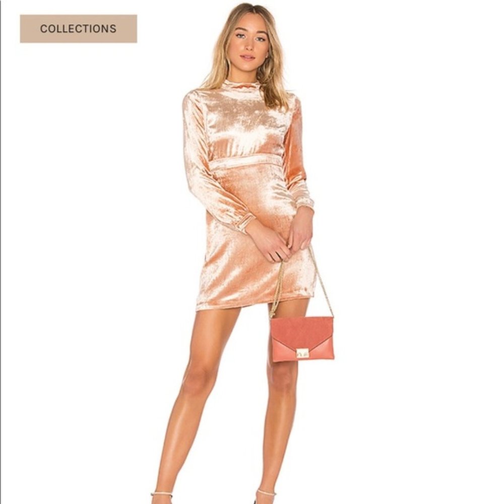 NWT: ALC Velvet Gemma Dress in Rose size 4